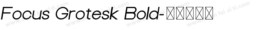 Focus Grotesk Bold字体转换